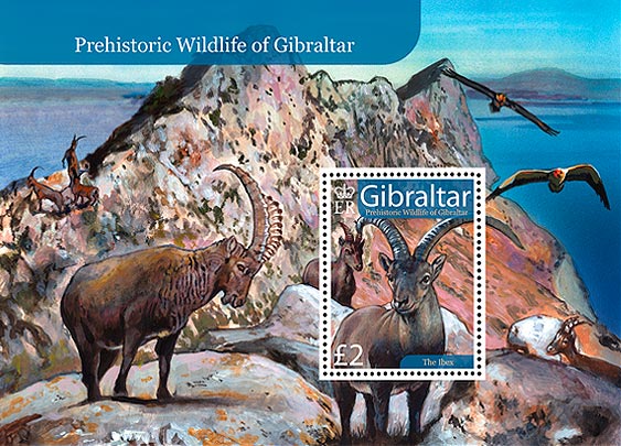 Prehistoric Wildlife of Gibraltar
