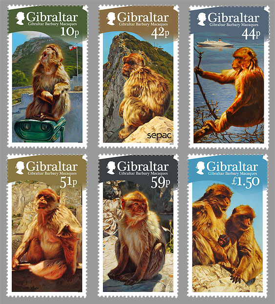 Gibraltar Berberaffe