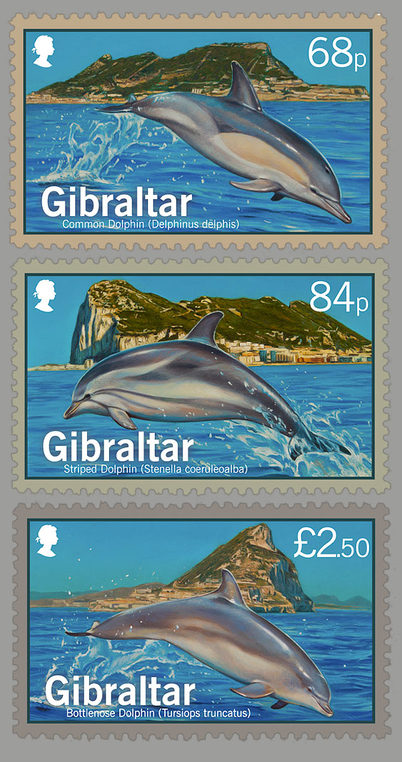 Dolphins of Gibraltar