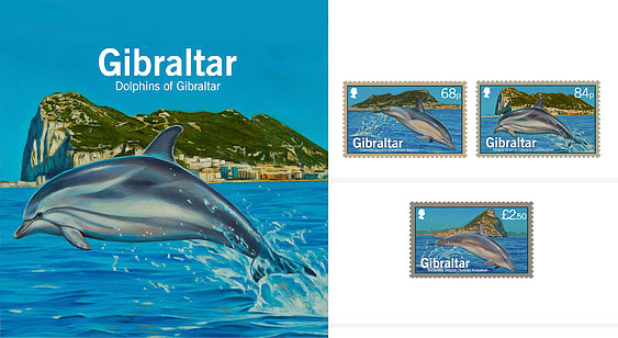 Dolphins of Gibraltar