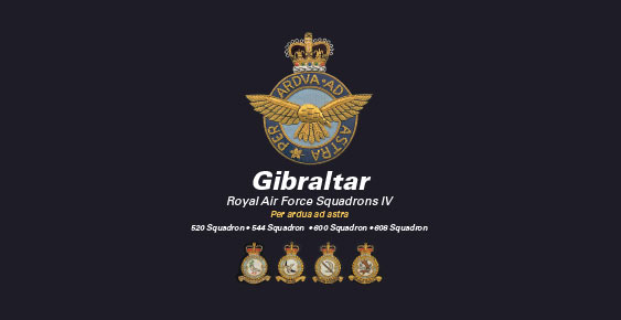 RAF Squadrons IV