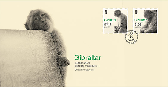 Europa 2021 - Barbary Macaques II