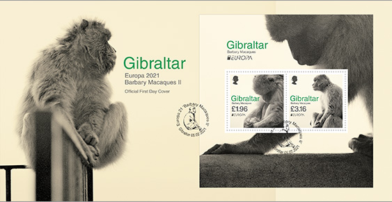 Europa 2021 - Barbary Macaques II