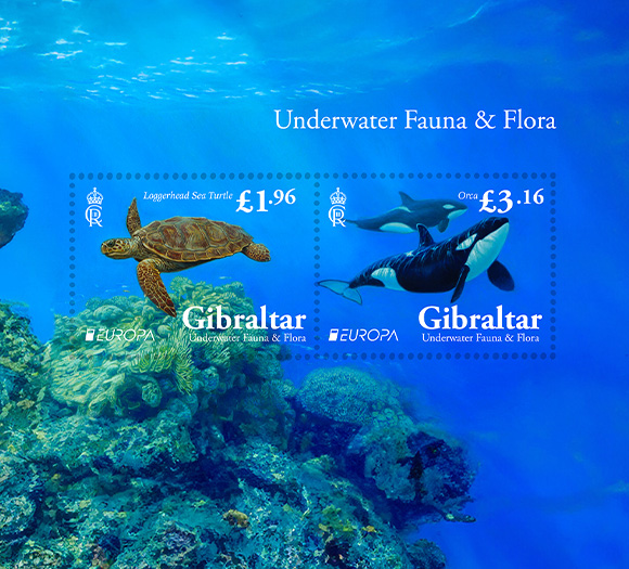 EUROPA 2024 - Unterwasserfauna und flora