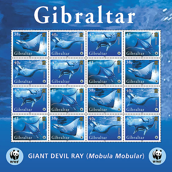 WWF 'Giant Devil Ray'