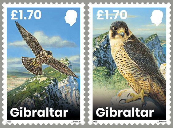 Gibraltar-Liechtenstein Joint Issue - Peregrine Fa