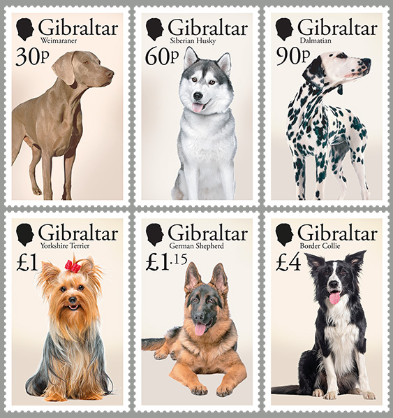 Chiens