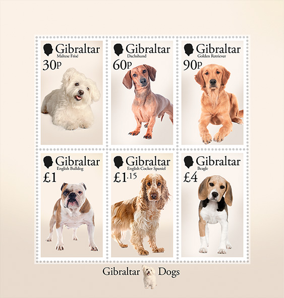 Chiens