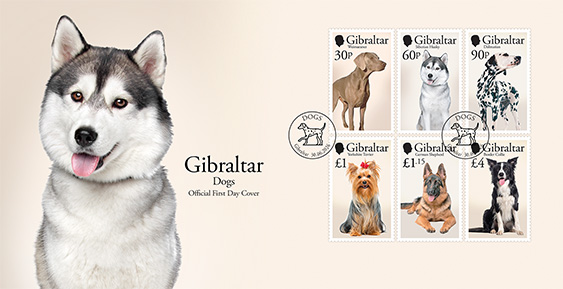 Chiens