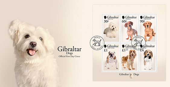 Chiens