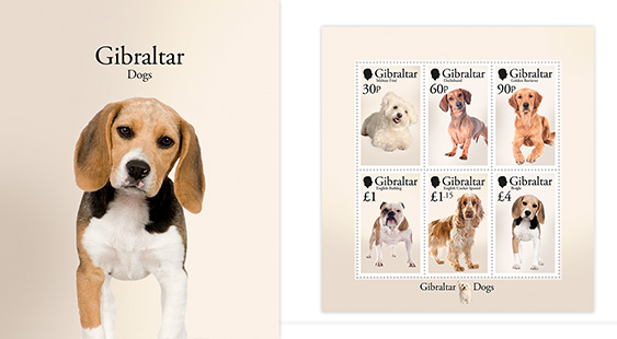 Chiens