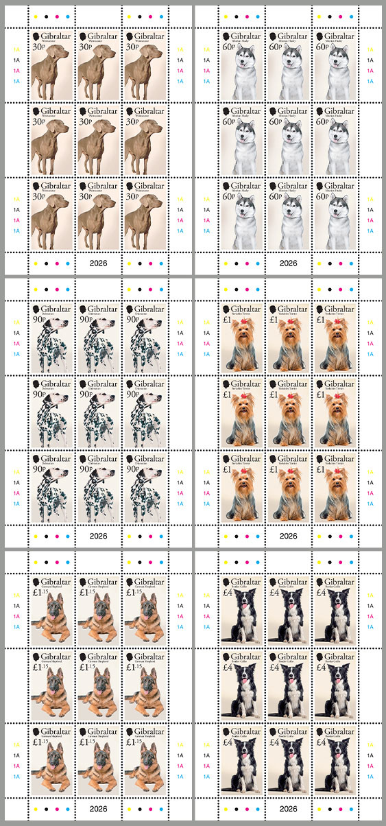Chiens