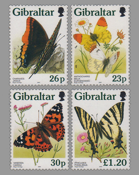 Butterflies in Gibraltar