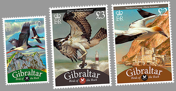 Serie corriente: Aves de Gibraltar