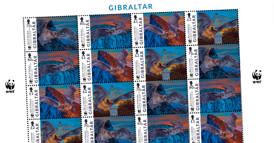 WWF Bats of Gibraltar
