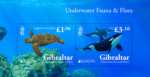 NEW EUROPA 2024 Underwater Fauna and Flora