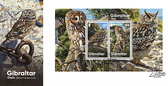 Gibraltar Owls