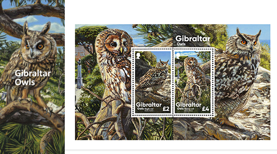 Gibraltar Owls