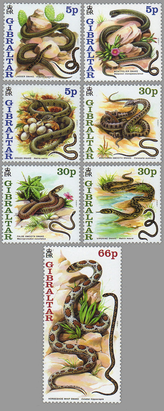 Snakes of Gibraltar