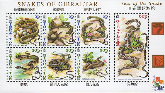 Snakes of Gibraltar