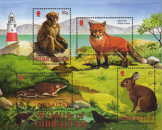 Wildlife of Gibraltar