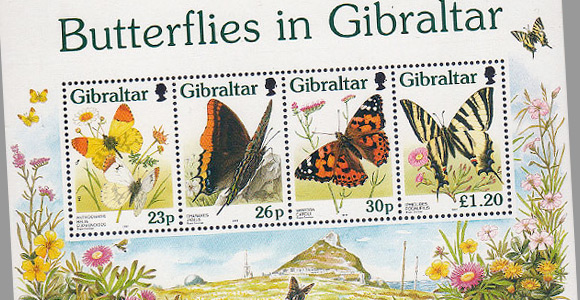 Mariposas de Gibraltar