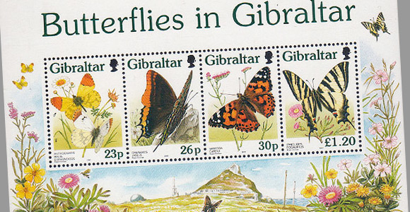 Butterflies in Gibraltar