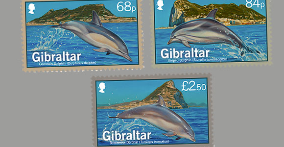Dolphins of Gibraltar